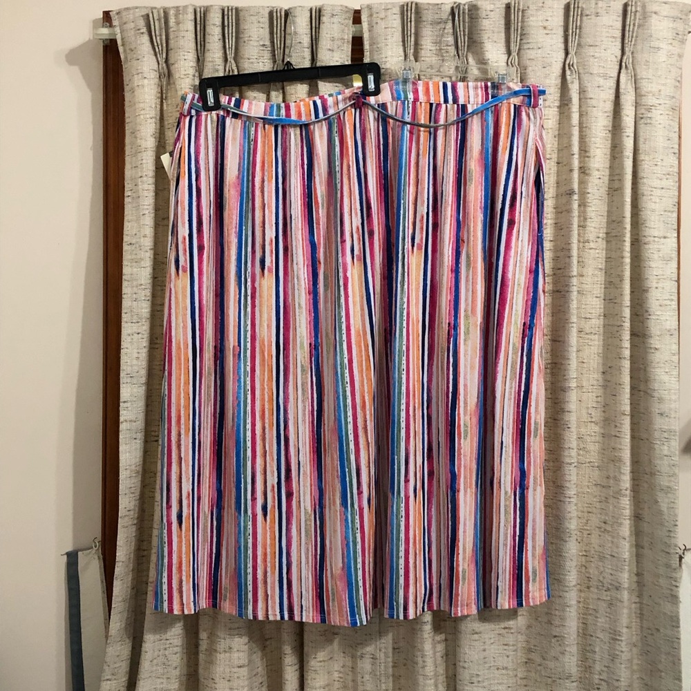 Terra & Sky Button Front Stripe Midi Skirt - 3X - Picture 9 of 10
